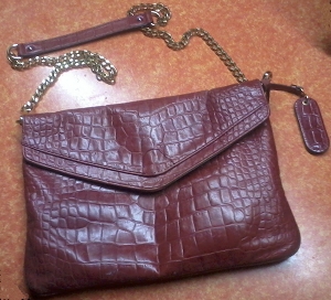 This is a purse from Cynthia Rowley.  I got this on clearance at TJ Maxx for $25.00.